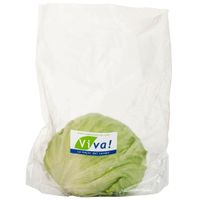 Lechuga Americana de Verano VIVA Bolsa Unidad