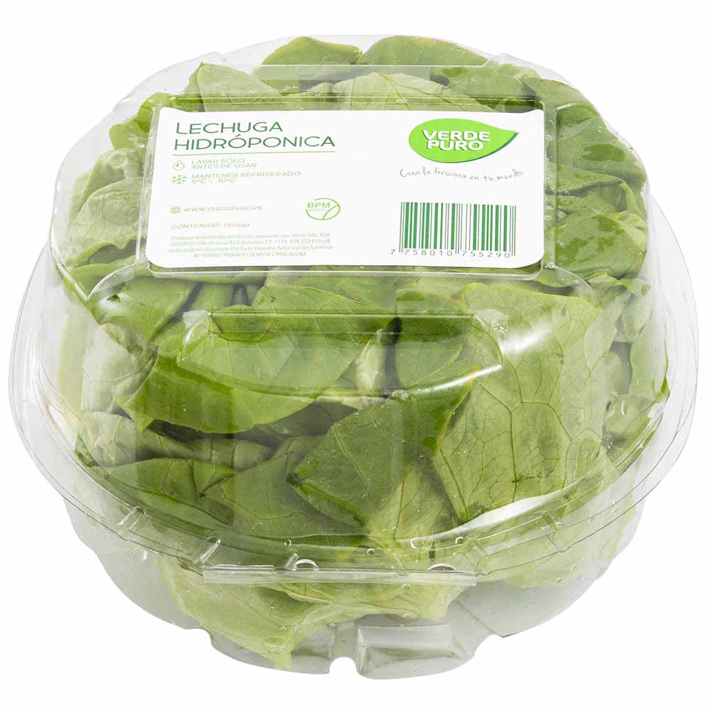 Lechuga Entera VERDE PURO