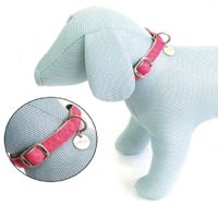 Collar para Perros - Mylord Rosado L