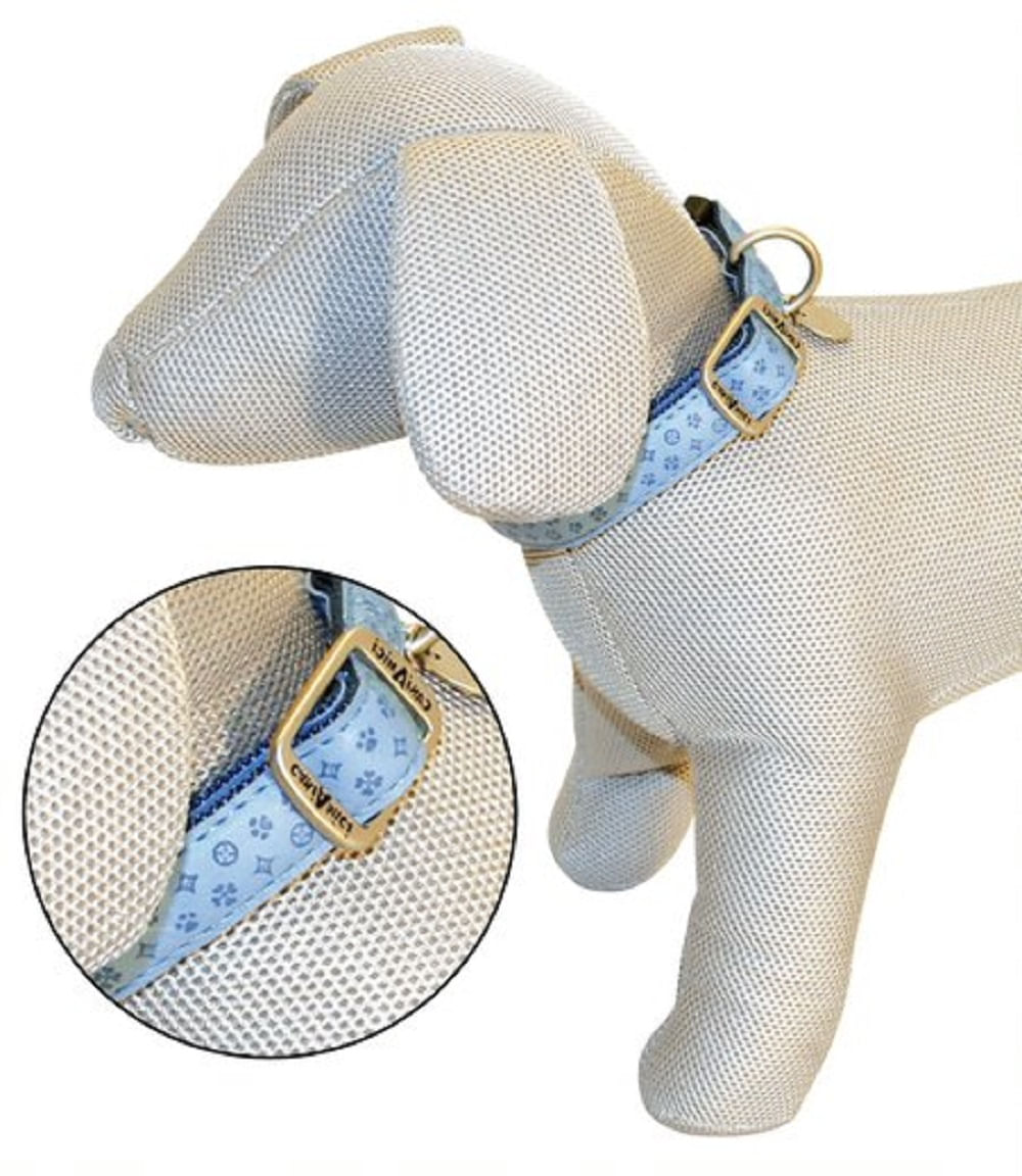 Collar para Perros - Mylord Celeste L