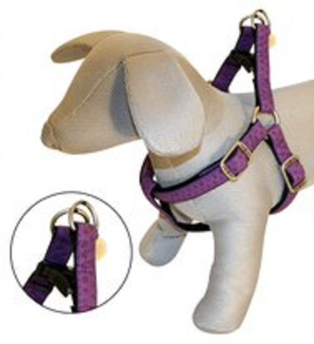 Arnés para Perros - Vanity Morado Talla XL