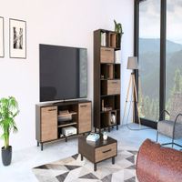 Rack TV 65 + Biblioteca + Mesa Centro Kaia - Wengue / Miel