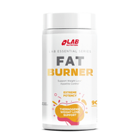 FAT BURNER 90 CAPSULES