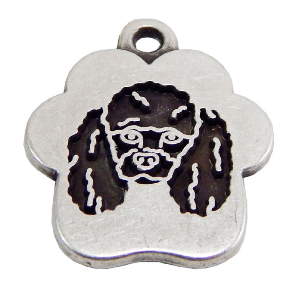 Placa de Identificación para perros Poodle Vintage