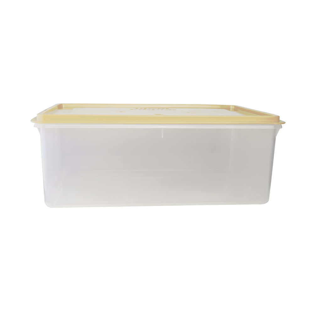 Caja conservadora N11 Beige