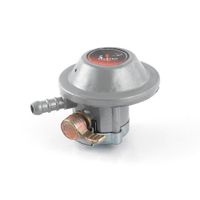 Regulador de gas Premium