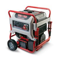 Generador de energía trifásico Pro 7500W