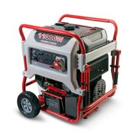 Generador de energía trifásico Pro 11000W