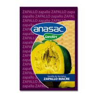 Semillas de Zapallo