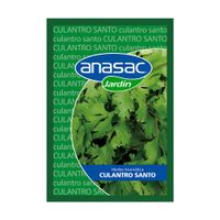 Semillas de Culantro