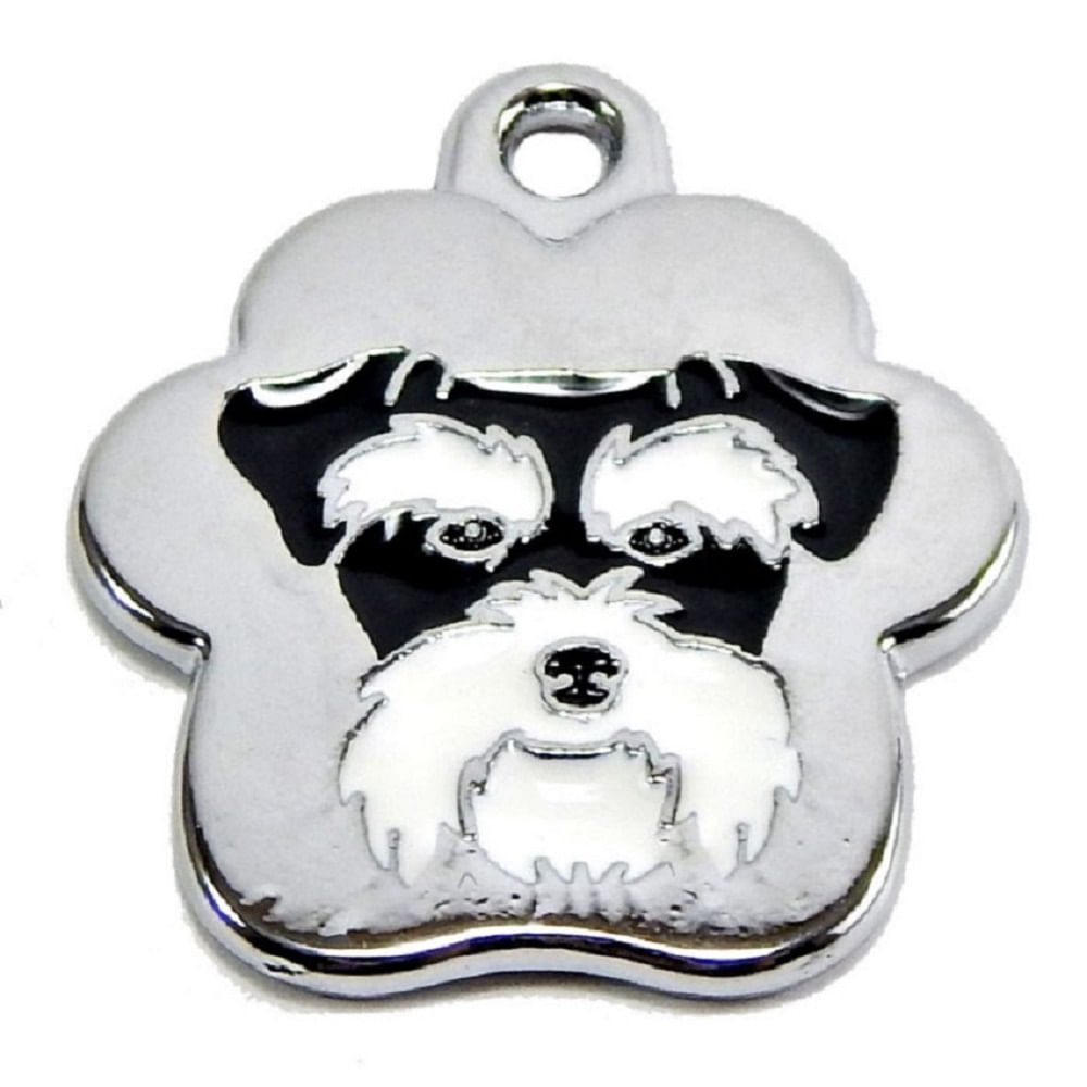 Placa de Identificación para perro Schnauzer rainbow Grande