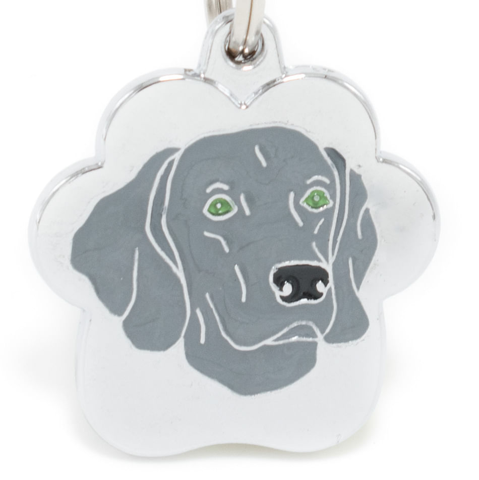 Placa de Identificación para perros Weimaraner rainbow
