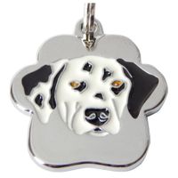 Placa de Identificación para perros Dalmata Rainbow - Grande