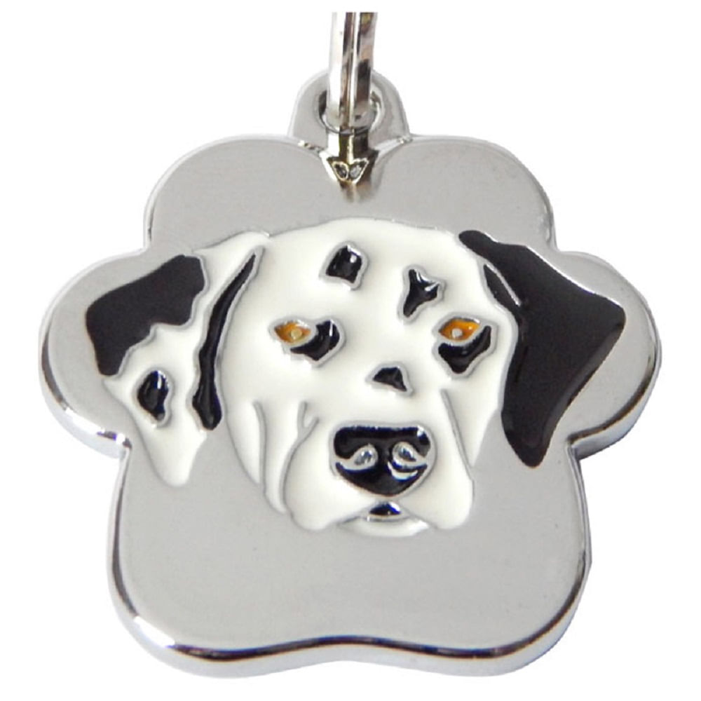 Placa de Identificación para perros Dalmata Rainbow - Grande