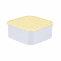 Caja conservadora Freezer N5 Beige