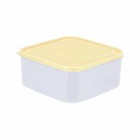 Caja conservadora Freezer N3 Beige