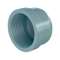 Tapón hembra SP 2""