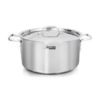 Olla professional inox con fondo difusor N22