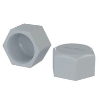 Tapón hembra PVC SP 1/2 Go