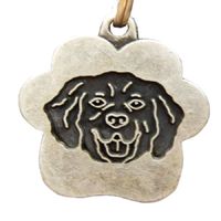 Placa de Identificación para perros Golden Vintage - Grande