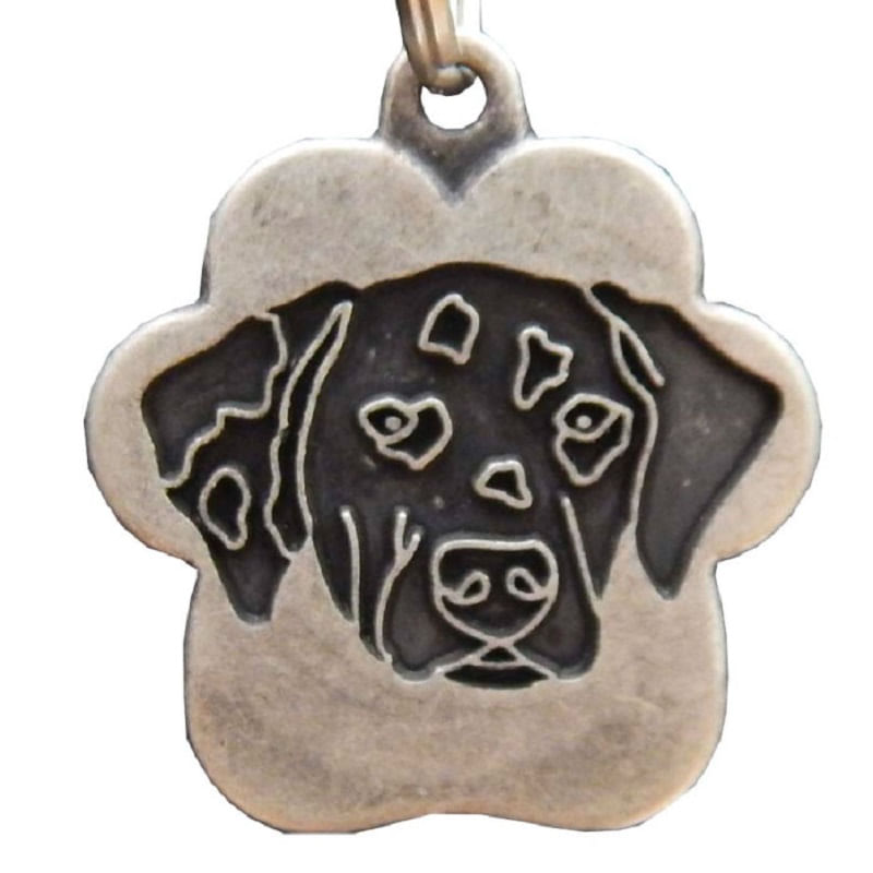 Placa de Identificación para perros Dalmata Vintage
