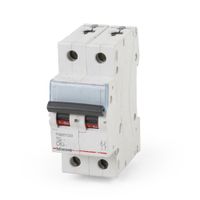 Interruptor Termomagnético 2x63A 220V-10KA