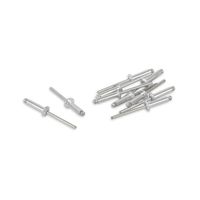 Remache POP 5/32""-5/8"" x 10 unidades