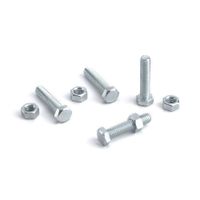 Perno hexagonal más tuerca CG2 5/16 x 2 ½ * 4 unidades