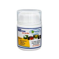 Insecticida Mata Insectos 100 cc