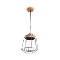 Lámpara colgante Vynyasa Jaula Vidrio 1 luz