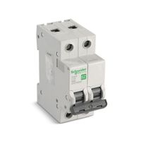 Interruptor Termomagnético Easy9 2x63A 6000A 230V