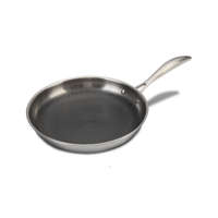 SARTEN RECORD INOX TITAN N°28