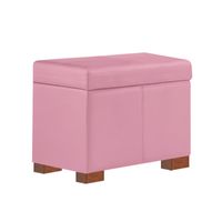 BAUL BAXTON MAVISAC PEQUEÑO COLOR ROSADO - TELA