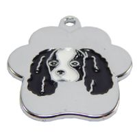 Placa de Identificación para perros Cavalier Negro rainbow