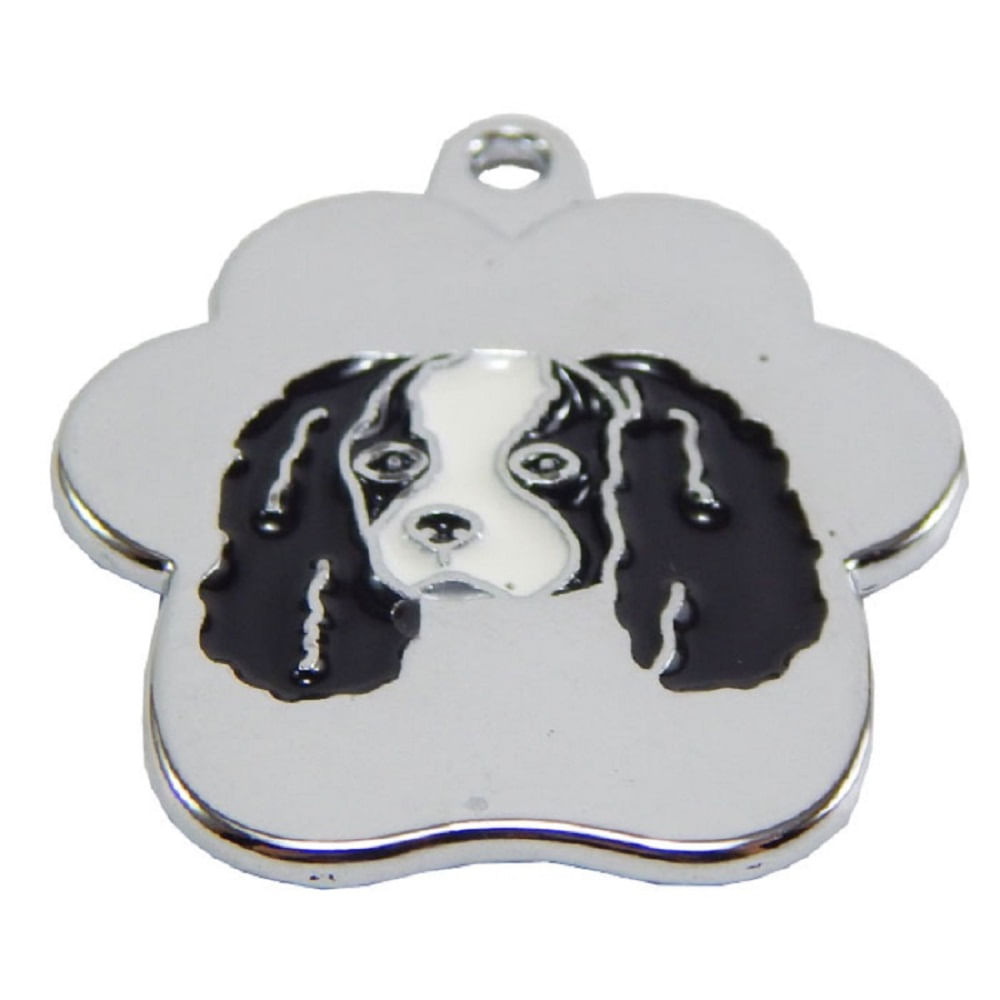 Placa de Identificación para perros Cavalier Negro rainbow