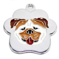 Placa de Identificación para Perros Bulldog ingles rainbow