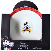 Bowl DISNEY Personajes (Modelos Aleatorios)