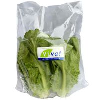Lechuga Romana VIVA Bolsa 1un