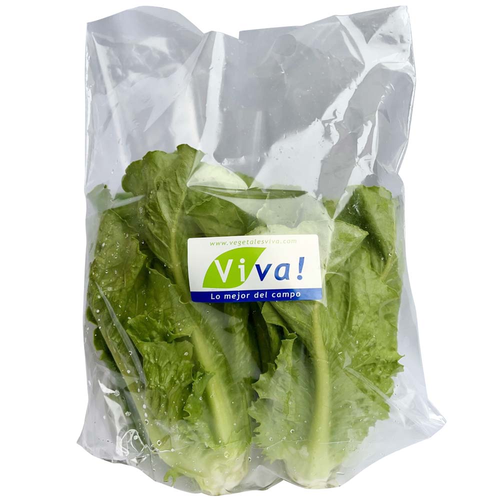Lechuga Romana VIVA Bolsa 1un