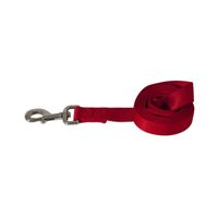 Petmate Correa De Nylon Grande Color Rojo