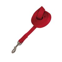 Petmate Correa De Nylon Extra Grande Color Rojo