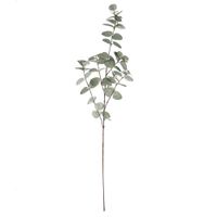 Rama Verde 88 cm