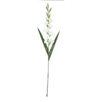 Rama Blanca 95 cm