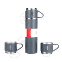 TERMO DE ACERO INOXIDABLE CON 2 TAZAS + BOLSA DE REGALO COLOR PLOMO