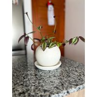 Mini Maceta Esfera