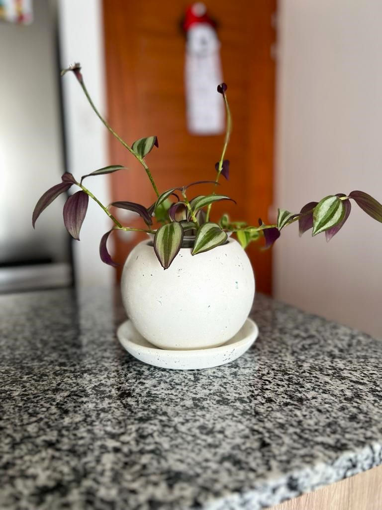 Mini Maceta Esfera