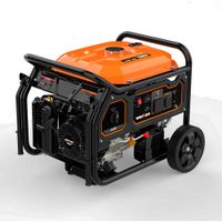 Generador gasolina 7000w Werken