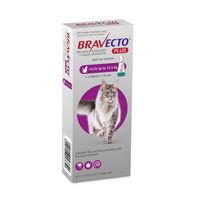 Bravecto Plus 500 mg Pipeta para Gatos 6.25kg - 12.5kg