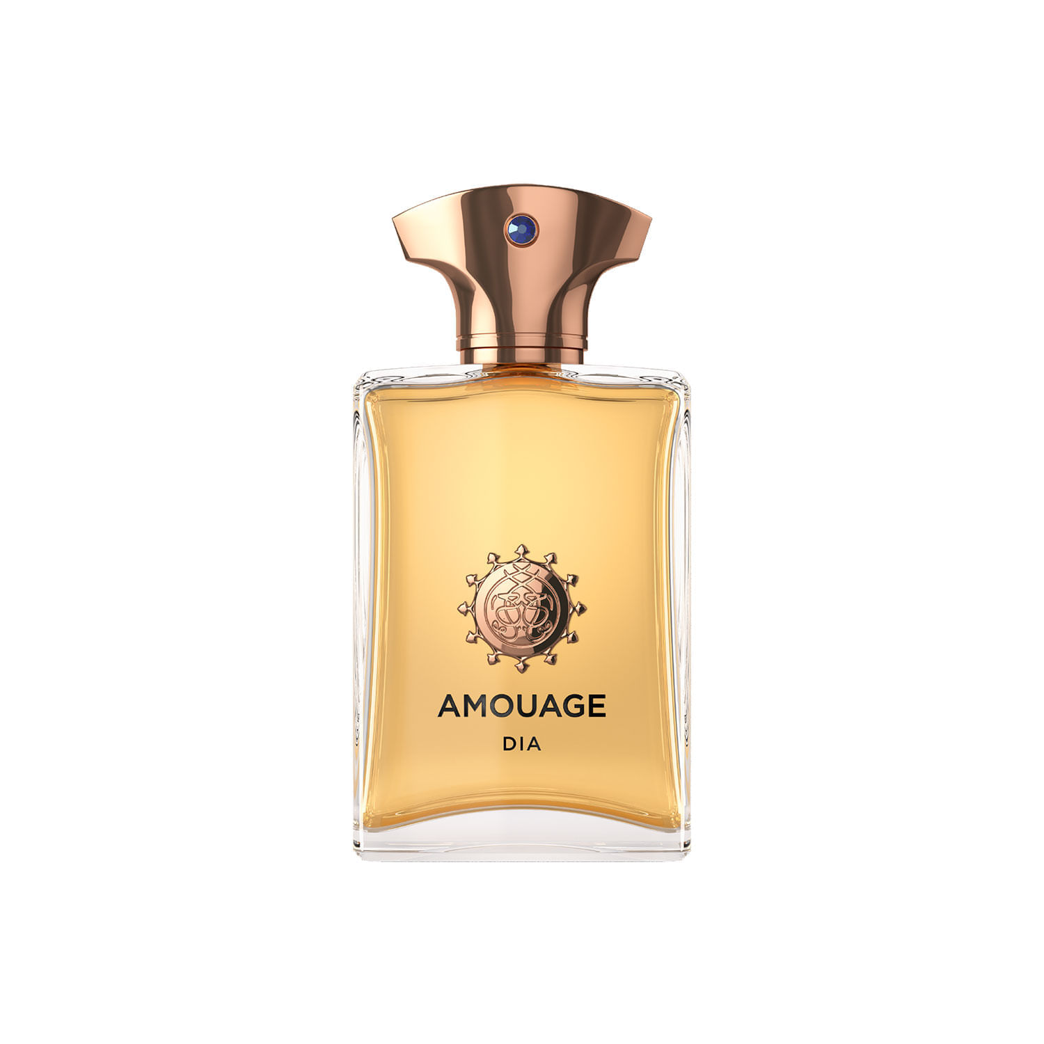 Perfume Hombre Amouage Dia Man 100 ML Amaderada