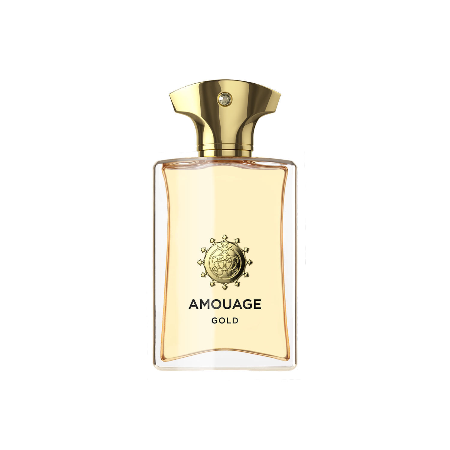 Perfume Hombre Amouage Gold Man Edp 100 ML Oriental